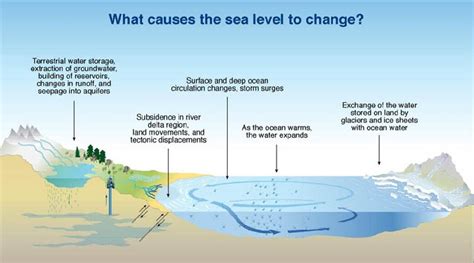 level of sedimentation